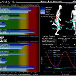 Bewegungsanalyse Auswertung Hip Knee