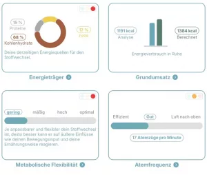 Auswertung Stoffwechselanalyse