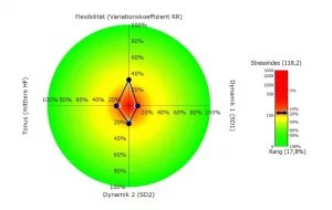 Auswertung Stresslevelmessung