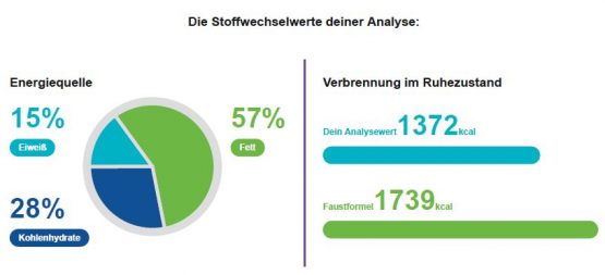 Stoffwechselanalyse laufzeit mainz