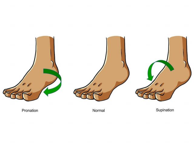 Pronation, Supination und normaler Fuß