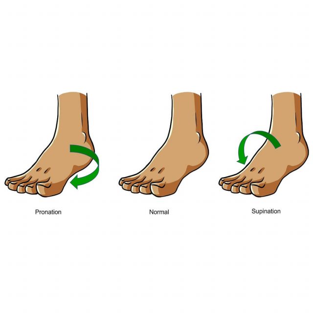 Pronation, Supination und normaler Fuß