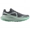 Salomon Glide max TR Ebony / Blue Haze / Cockatoo damen außen