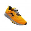 Newton Gravity 13 orange schräg