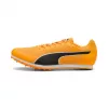 Puma EvoSpeed Star 9 sun Stream innen