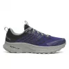 Saucony Ride TR2 GTX Regal/Black innen