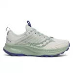 Saucony Ride TR2 GTX Quartz/Mist außen