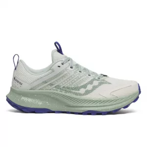 Saucony Ride TR2 GTX Quartz/Mist außen