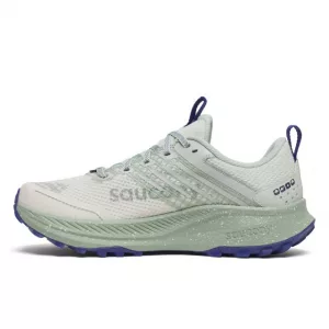 Saucony Ride TR2 GTX Quartz/Mist innen