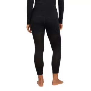 Icebreaker Speed Winter 25 Tights Damen hinten