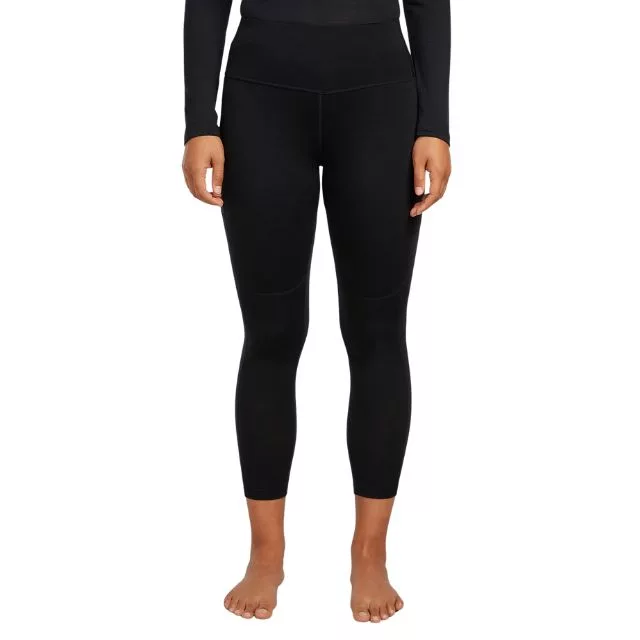Icebreaker Speed Winter 25 Tights Damen vorne