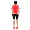 CEP Core Run Compression Shorts hinten